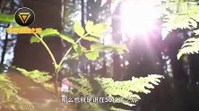 10亿年后,太阳将发生爆炸不再发光,地球面临生死考验!