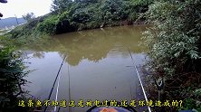 户外野钓，畸形的鲫鱼样子萌萌哒，不会是电成这样的吧