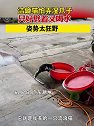 广东潮州：洁癖猫怕弄湿爪子，只好劈着叉喝水，姿势太狂野