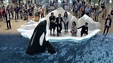 你见过7D电影的立体感吗？这画面太过真实，连肉眼也难辨真假