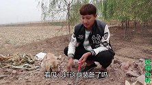 野外发现一个毒蝎洞，小伙作死拿钳子夹，看看都夹出来啥好货？