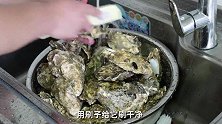 480买100只生蚝，全部清蒸，配上蘸料，老猫一口一个真过瘾