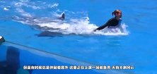 海洋馆鲸鱼发怒，掀起惊涛骇浪，波及现场数万名观众