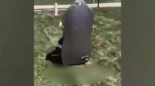 小孩子戴上恶魔面具，慢慢的走出来，好吓人啊！