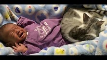 宝宝睡醒后饿了，见没人理哇哇大哭，接下来猫咪的反应太萌了！