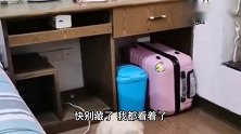 泰迪发现主人对它小宝库有想法，狗狗赶紧守着，结果真逗