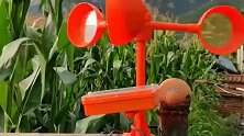 农村大哥发明驱鸟神器，利用太阳能充电，还能发出几十种鸟叫声，真不错