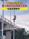 安徽合肥：大叔街头迷惑操作，爬上电灯杆后再滑下反复
