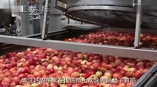美味的苹果醋在工厂里原来是这样做出来的太美味了看的我口水直流