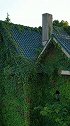 绿野仙踪，贵州这个半岛上的别墅无人居住，全被绿色植物包围！