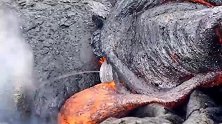 岩浆温度在9001200度左右，你想在岩浆上面烤什么呢？