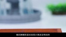蓝豆女友意外消失，蓝豆张贴寻人启事，能找回失散的女友吗