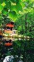小桥流水，绿掩红楼