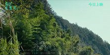 《错过了，遗憾吗？》今日上映发布推广曲