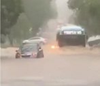 澳大利亚一辆公共汽车被曝光在洪水中行驶 司机正在接受调查