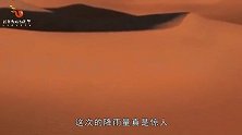 沙漠24小时下了9年的雨量，沙漠出现湖泊，惊动了美国！