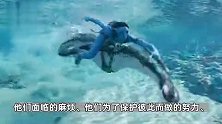 科幻巨制！《阿凡达2：水之道》中国内地正式定档：12月16日上映
