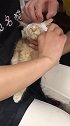 刚刚给别家的猫咬架，咬输了，哈哈哈！