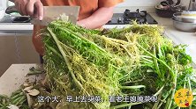 咸菜别去买了，三丰教大家腌咸菜，清脆爽口特别下饭，吃了忘不了