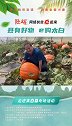 “陕耀网络扶贫e起来”走进绿蕾农业专业合作社