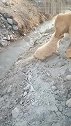 狗子：妈妈快救救我，我上不来了！