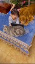 猫咪：我是无怨无悔的猫支架