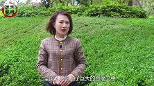 毛主席去世后，他向中央提出：我来为主席整理遗容