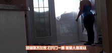 下雪天，猫咪上演各种疯狂，看完之后我爱了