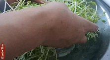 小炒豌豆苗的家常做法，清清淡淡才是真，减脂清肠一把手