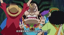 《海贼王》草帽一伙的问题一个比一个离谱，忍者雷藏吓得直冒汗