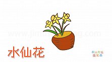 植物简笔画大全，画一盆水仙花简笔画