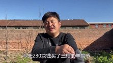 红焖羊蝎子真的不要太好吃，亲戚朋友都赞不绝口！