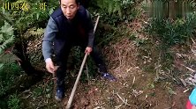 看着爸爸颤颤巍巍的双手，做出我只爱的美食，心里不是滋味