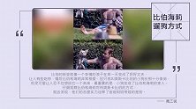 比伯与海莉遛狗方式差别大，搞笑中却透露出和谐与甜蜜
