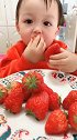 小宝宝吃草莓，吃着吃着愣住了，你是有什么新发现吗