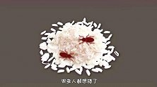 大米放久了为啥会生虫，虫子是从哪里而来？很多人都想错了！