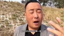 城里打工的农民工，靠坚韧不拔的精神支撑着自己前进，我们的榜样
