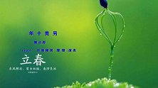 动感纯音乐广场舞《另类十年》每天十分钟，爆汗瘦全身！
