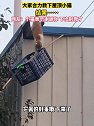 浙江宁波：猫咪被困屋顶下不来，大家合力营救结果翻车