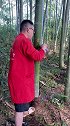 抽酒，抽油，抽水，抽尿素神器，只需轻轻按压几下就可以了工具导流管 大自然