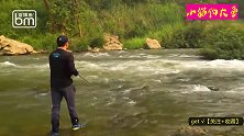 这么湍急的溪流里真有淡水鲨？没错，连杆两条