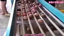 爆笑：原来这就是水果筛选神器！