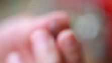 文玩界专家称：这样车出来的小叶紫檀珠子美的想不升值都难
