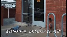 猫咪负气离家出走，三次碰壁却无人肯收留，无奈之下露宿公园