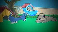 猫和老鼠：狗瞧不上汤姆，只要一看见汤姆，就把汤姆一顿揍