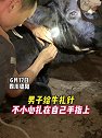 四川德阳：男子给牛扎针，结果不小心扎中自己手指
