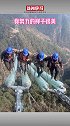 努力工作  好好生活