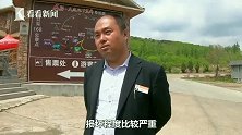 “比翼鸟”被偷！景区沉积数百万年的钟乳石，遭游客30秒砸断