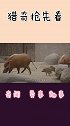 红河猪繁殖能力太强，非洲人非常头疼，中国吃货则表示安排上