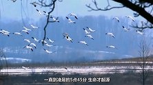 非洲加蓬发现核反应堆，已经存在至少20亿年，真存在史前文明